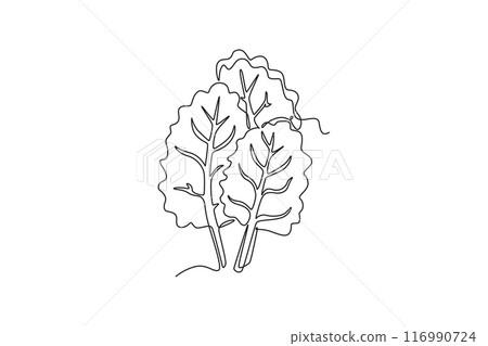 Continuous one line drawing group pile of healthy organic swiss chard for farm logo identity. Fresh leafy spinach beet concept for vegetable icon. Single line draw design vector graphic illustration 116990724