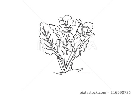 Continuous one line drawing group pile of healthy organic swiss chard for farm logo identity. Fresh leafy spinach beet concept for vegetable icon. Single line draw design vector graphic illustration 116990725