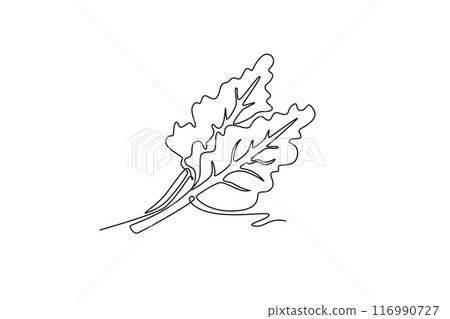 Single continuous line drawing whole healthy organic raw swiss chard for farming logo identity. Fresh green leafy concept for vegetable icon. Dynamic one line draw graphic design vector illustration Single continuous line drawing whole healthy organic raw swiss chard for farming logo identity. Fresh green leafy concept for vegetable icon. Dynamic one line draw graphic design vector illustration 116990727