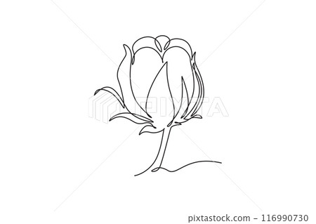 Single continuous line drawing of whole soft and fluffy cotton flower for farming logo identity. Staple fiber flower concept for garden icon. Dynamic one line draw graphic design vector illustration 116990730