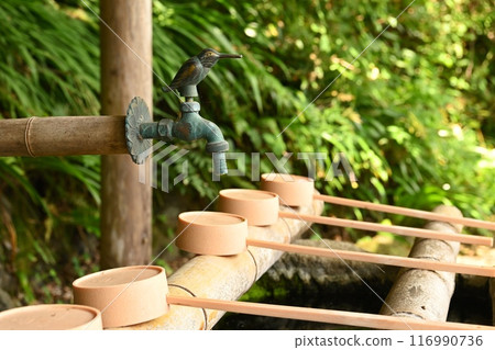Hatasu Shrine 116990736