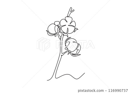Single continuous line drawing of whole soft and fluffy cotton flower for farming logo identity. Staple fiber flower concept for garden icon. Dynamic one line draw graphic design vector illustration 116990737