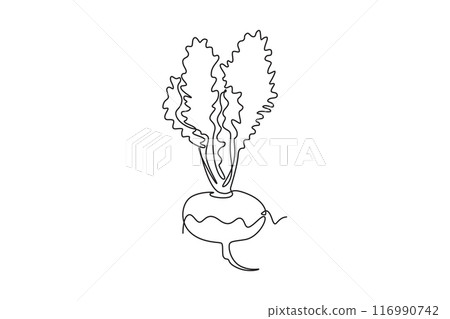 Single one line drawing whole healthy freshness organic white turnip for farm logo identity. Fresh plant concept for root vegetable icon. Modern continuous line draw design graphic vector illustration Single one line drawing whole healthy freshness organic white turnip for farm logo identity. Fresh plant concept for root vegetable icon. Modern continuous line draw design graphic vector illustration 116990742