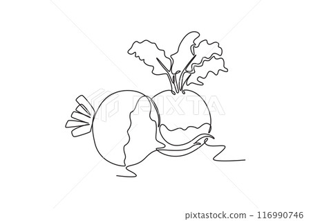 Single one line drawing whole healthy freshness organic white turnip for plantation logo identity. Fresh veggie concept for root vegetable icon. Continuous line draw design graphic vector illustration Single one line drawing whole healthy freshness organic white turnip for plantation logo identity. Fresh veggie concept for root vegetable icon. Continuous line draw design graphic vector illustration 116990746