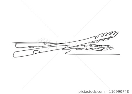 Single one line drawing of whole healthy organic raw asparagus for farm logo identity. Fresh garden asparagus concept for vegetable icon. Modern continuous line draw design graphic vector illustration Single one line drawing of whole healthy organic raw asparagus for farm logo identity. Fresh garden asparagus concept for vegetable icon. Modern continuous line draw design graphic vector illustration 116990748