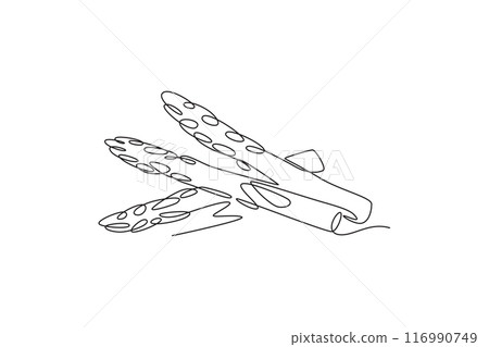 Single one line drawing whole healthy organic asparagus for plantation logo identity. Fresh perennial flowering plant concept for veggie icon. Continuous line draw design graphic vector illustration 116990749