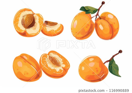 Illustration set of fresh apricots with different cuts on white background. Generative AI 116990889