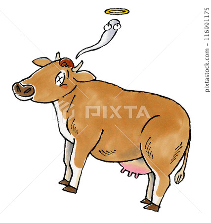 Dead Jersey Cow 116991175