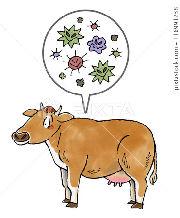 Jersey cows and pathogens 116991238