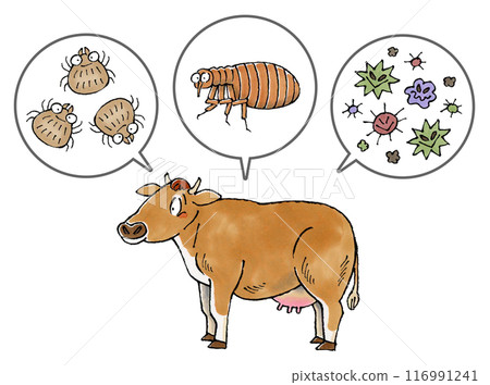 Jersey cows and parasites (ticks, fleas, and pathogens) Jersey cows and parasites (ticks, fleas, and pathogens) 116991241