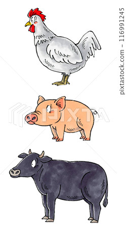 Meat set (chicken, pork, beef) Meat set (chicken, pork, beef) 116991245