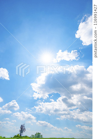 Summer blue sky, grassland and sun 116991427