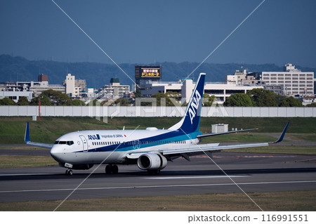 全日空航空公司波音 737 降落在大阪伊丹機場 116991551