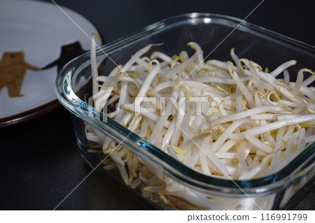 Japanese cuisine mushroom sprouts 116991799