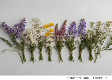 beautiful wild flowers on a white background 116991940