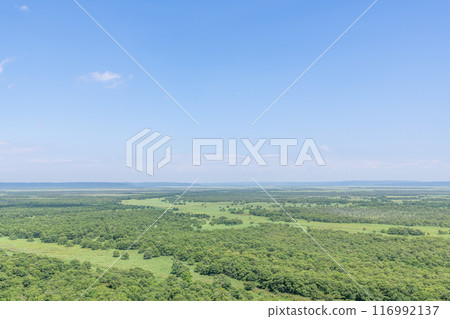 A popular tourist destination in Hokkaido in summer: Kushiro Marsh National Park, a UNESCO World Heritage Site 116992137