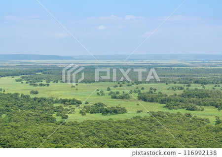 A popular tourist destination in Hokkaido in summer: Kushiro Marsh National Park, a UNESCO World Heritage Site 116992138