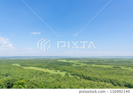 北海道的夏天，熱門旅遊勝地，被登錄為世界自然遺產的釧路濕原國立公園 116992140