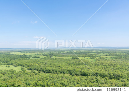 A popular tourist destination in Hokkaido in summer: Kushiro Marsh National Park, a UNESCO World Heritage Site 116992141