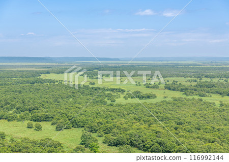 北海道的夏天，熱門旅遊勝地，被登錄為世界自然遺產的釧路濕原國立公園 116992144