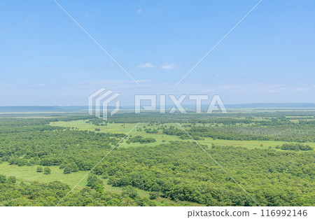 A popular tourist destination in Hokkaido in summer: Kushiro Marsh National Park, a UNESCO World Heritage Site 116992146
