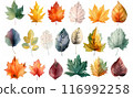 Colorful autumn fallen leaves 116992258