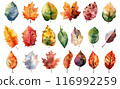 Colorful autumn fallen leaves 116992259