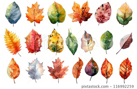 Colorful autumn fallen leaves 116992259