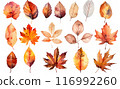 Colorful autumn fallen leaves 116992260