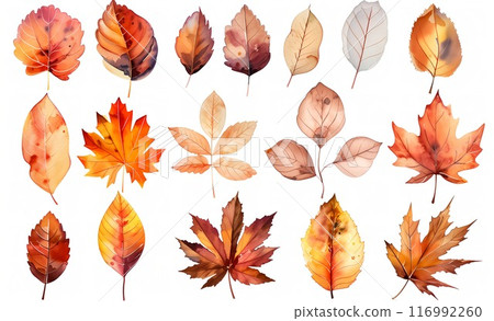 Colorful autumn fallen leaves 116992260