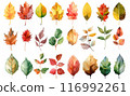 Colorful autumn fallen leaves 116992261