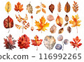 Colorful autumn fallen leaves 116992265