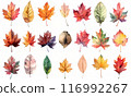 Colorful autumn fallen leaves 116992267