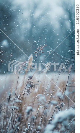With snowflakes softly falling, a snow-covered field comes into focus, offering a glimpse into the peaceful and magical ambiance of a winter wonderland 116992356