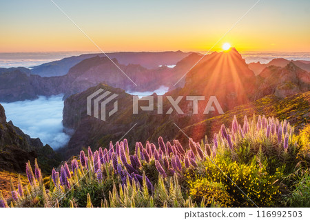 View from Pico do Arieiro, Portugal 116992503