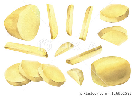 White potatoes, peeled, whole, half, cut into slices and sticks for French fries. Hand drawn watercolor illustration on the theme of cooking, food. Set of elements isolated from background White potatoes, peeled, whole, half, cut into slices and sticks for French fries. Hand drawn watercolor illustration on the theme of cooking, food. Set of elements isolated from background 116992585