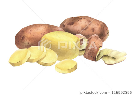 Red potatoes in skins, whole, peeled, with a spiral of peelings. Watercolor illustration, hand-drawn on the theme of harvest, cooking, food, vegetable shop. Composition isolated from background Red potatoes in skins, whole, peeled, with a spiral of peelings. Watercolor illustration, hand-drawn on the theme of harvest, cooking, food, vegetable shop. Composition isolated from background 116992596