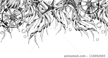 Starfish, seashells, ship s steering wheels, seaweed and bubbles. Marine illustration hand drawn line art graphics in black and white monochrome. Seamless border repeating pattern. Starfish, seashells, ship s steering wheels, seaweed and bubbles. Marine illustration hand drawn line art graphics in black and white monochrome. Seamless border repeating pattern. 116992605
