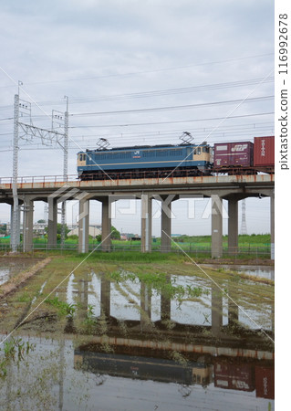 A freight train pulled by EF65-2084, its body reflected in the rice paddies, runs away. Photographed on April 29, 2022. A freight train pulled by EF65-2084, its body reflected in the rice paddies, runs away. Photographed on April 29, 2022. 116992678