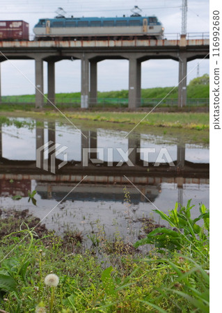 A freight train towed by an EF66 runs past with its body reflected in the rice paddies_2022/4/29satuei A freight train towed by an EF66 runs past with its body reflected in the rice paddies_2022/4/29satuei 116992680