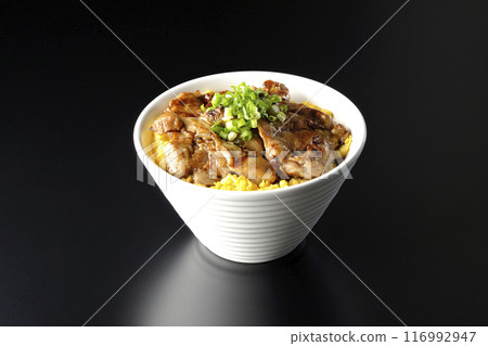 Pheasant rice bowl, yakitori rice bowl, and oyakodon photographed against a black background Pheasant rice bowl, yakitori rice bowl, and oyakodon photographed against a black background 116992947