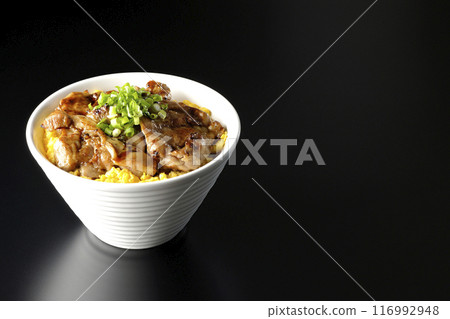 Pheasant rice bowl, yakitori rice bowl, and oyakodon photographed against a black background Pheasant rice bowl, yakitori rice bowl, and oyakodon photographed against a black background 116992948