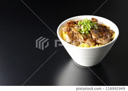 Pheasant rice bowl, yakitori rice bowl, and oyakodon photographed against a black background Pheasant rice bowl, yakitori rice bowl, and oyakodon photographed against a black background 116992949