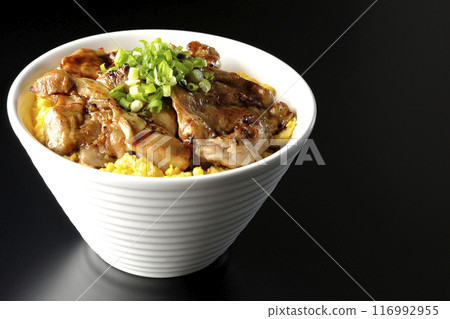 Pheasant rice bowl, yakitori rice bowl, and oyakodon photographed against a black background Pheasant rice bowl, yakitori rice bowl, and oyakodon photographed against a black background 116992955