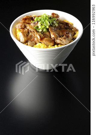 Pheasant rice bowl, yakitori rice bowl, and oyakodon photographed against a black background Pheasant rice bowl, yakitori rice bowl, and oyakodon photographed against a black background 116992963