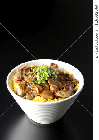 Pheasant rice bowl, yakitori rice bowl, and oyakodon photographed against a black background Pheasant rice bowl, yakitori rice bowl, and oyakodon photographed against a black background 116992964