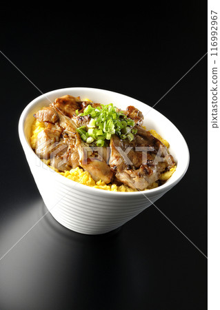 Pheasant rice bowl, yakitori rice bowl, and oyakodon photographed against a black background Pheasant rice bowl, yakitori rice bowl, and oyakodon photographed against a black background 116992967