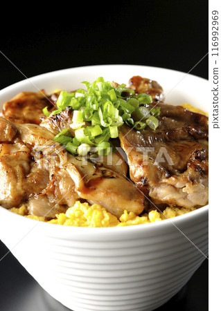 Pheasant rice bowl, yakitori rice bowl, and oyakodon photographed against a black background Pheasant rice bowl, yakitori rice bowl, and oyakodon photographed against a black background 116992969