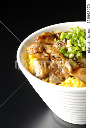 Pheasant rice bowl, yakitori rice bowl, and oyakodon photographed against a black background Pheasant rice bowl, yakitori rice bowl, and oyakodon photographed against a black background 116992970