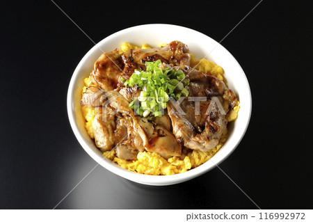 Pheasant rice bowl, yakitori rice bowl, and oyakodon photographed against a black background 116992972